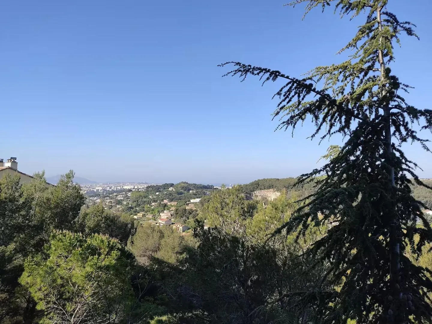 Spacious, Quiet With Stunning Pine Forest Views Marseille Apartment